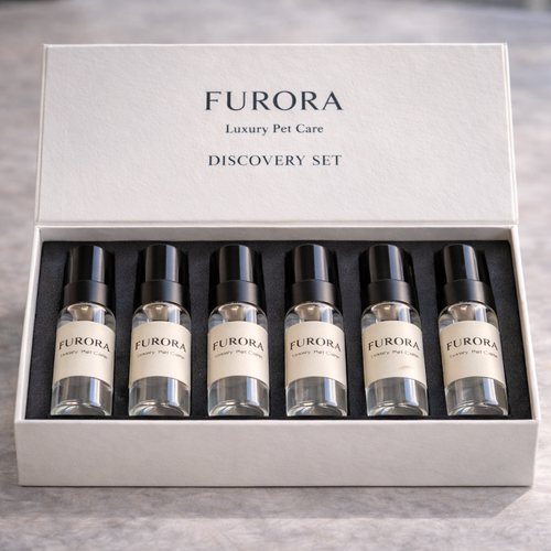 FURORA Discovery Set